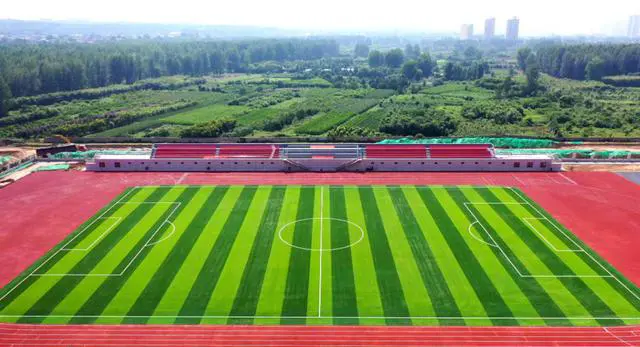为什么篮球技术训练对球员发展如此重要_1